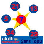 smart number for Şans Topu icon