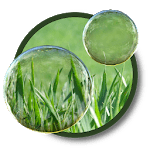 Magic Bubbles icon