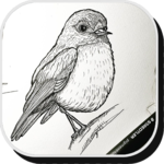 Art Drawing Pen Ideas icon