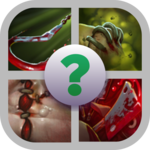 DOTA 2 - 4 Skills 1 Hero icon