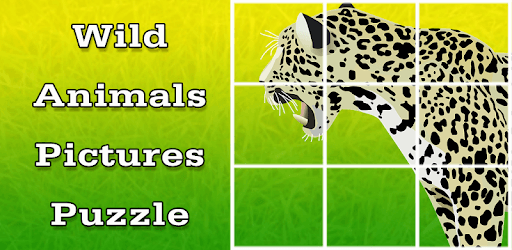 Wild Animals Pictures Puzzle pc screenshot Wild Animals Pictures Puzzle pc screenshot