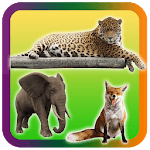 Wild Animals Pictures Puzzle icon