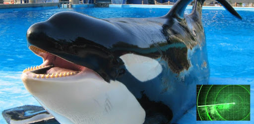 Seaworld For Computer VR Guide: SeaWorld, San Diego for PC - How to Install on Windows PC, Mac