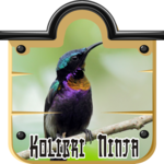 purple throated sunbird icon
