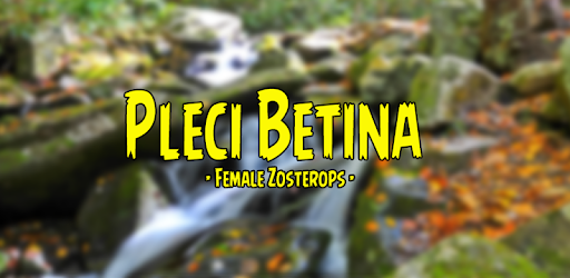 Female Zosterops pc screenshot