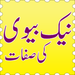 Naik Biwi icon