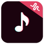 Free TlK TOK Videos 2018 icon