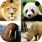 Animals Quiz - Learn All Mammals, Birds and more! icon