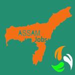 Assam Jobs for pc icon