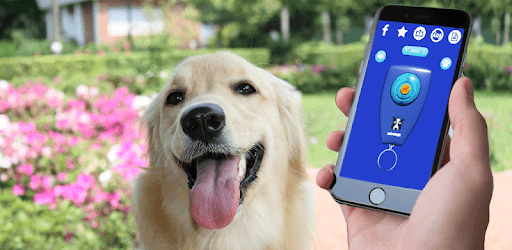 Dog Clicker Training pc screenshot Dog Clicker Training pc screenshot