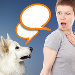 Dog Translator Simulator icon