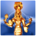 Rahu Pooja and Mantra icon