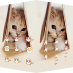 Lovely Cat Theme – AppLock icon