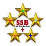 SSB - Awaken Yourself Within You icon
