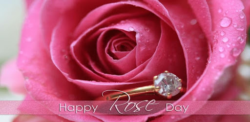 Rose Day GIF pc screenshot
