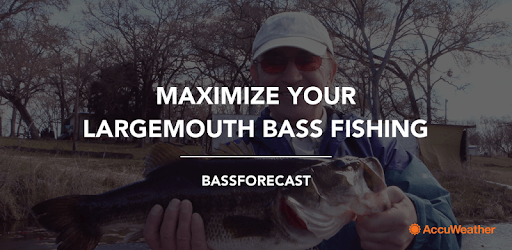 BassForecast pc screenshot BassForecast pc screenshot