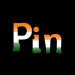 Pin India icon