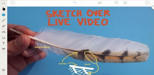 Stage: Whiteboard and Camera pc screenshot Stage: Whiteboard and Camera pc screenshot