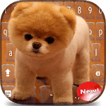puppy model keyboard icon