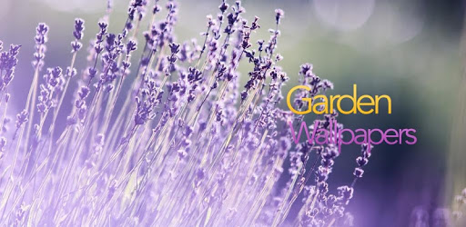 Garden Wallpapers pc screenshot Garden Wallpapers pc screenshot