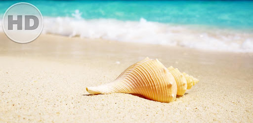 Free Background Images HD pc screenshot Free Background Images HD pc screenshot