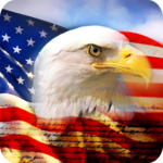 American Flag Wallpaper icon