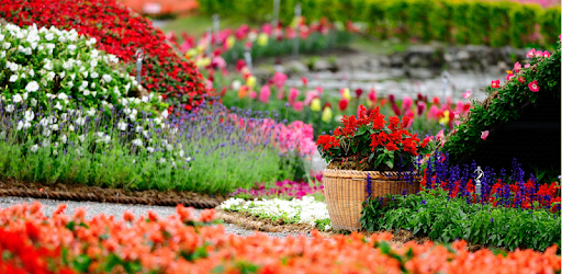 Garden Wallpaper HD Free pc screenshot Garden Wallpaper HD Free pc screenshot