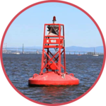 Rules of the Road - Lite icon
