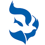 NLF Cambodia icon