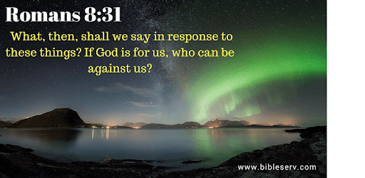 NLT Bible pc screenshot NLT Bible pc screenshot