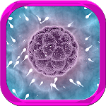 Foods to Increase Sperm Count icon