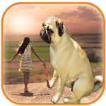 Real  Big Camera – Big Effect Photo Editor icon