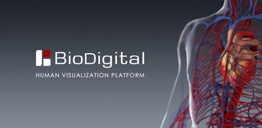 BioDigital Human - 3D Anatomy pc screenshot BioDigital Human - 3D Anatomy pc screenshot