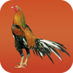 Gamecocks icon