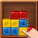 Break the Block: Slide Puzzle icon