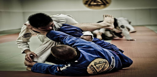 Jiu jitsu pc screenshot