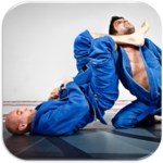 Jiu jitsu icon