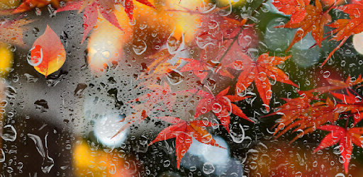 Autumn Live Wallpaper HD pc screenshot Autumn Live Wallpaper HD pc screenshot