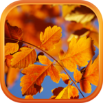 Autumn Live Wallpaper HD for pc icon Autumn Live Wallpaper HD for pc icon