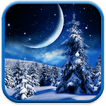 Winter Night Wallpaper icon