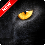 Black Panther Wallpaper icon