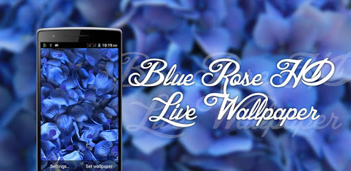 Blue Rose HD LiveWallpaper pc screenshot Blue Rose HD LiveWallpaper pc screenshot