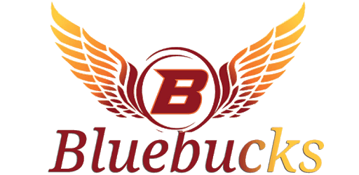 BlueBucks pc screenshot BlueBucks pc screenshot