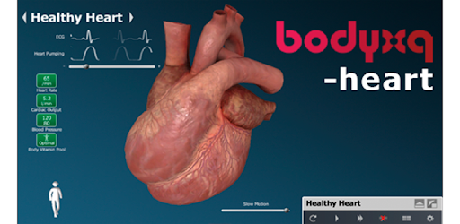 bodyxq heart pc screenshot