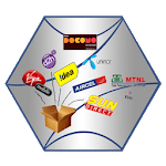 Bonrix Master Recharge icon