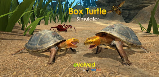 Box Turtle Simulator pc screenshot Box Turtle Simulator pc screenshot
