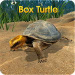 Box Turtle Simulator icon