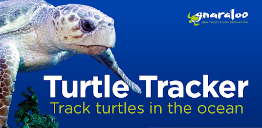 Turtle Tracker for PC - How to Install on Windows PC, Mac