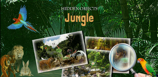 Find Hidden Objects in Jungle pc screenshot