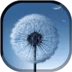 Magic Neo Wave : Dandelion LWP icon